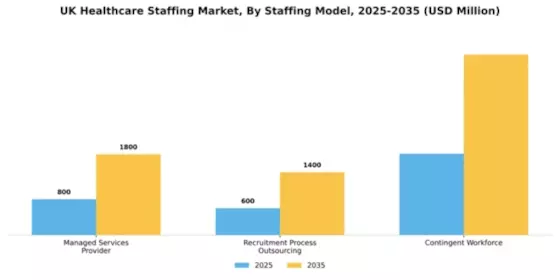 UK Healthcare Staffing Market Segment Image 3