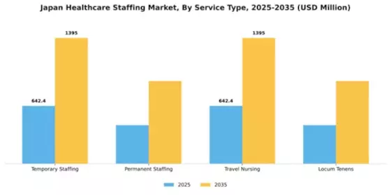Japan Healthcare Staffing Market Segment Image 2