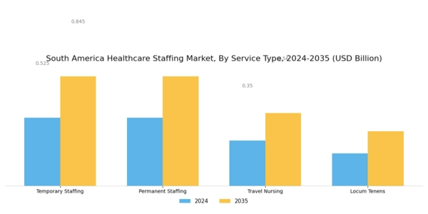 South America Healthcare Staffing Market Segment Image 0