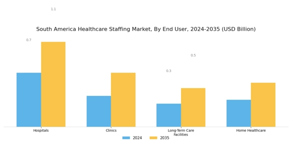 South America Healthcare Staffing Market Segment Image 1