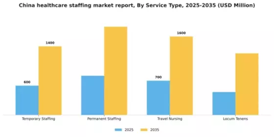 China Healthcare Staffing Market Segment Image 2