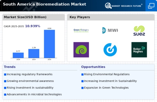 South America Bioremediation Market Infographic