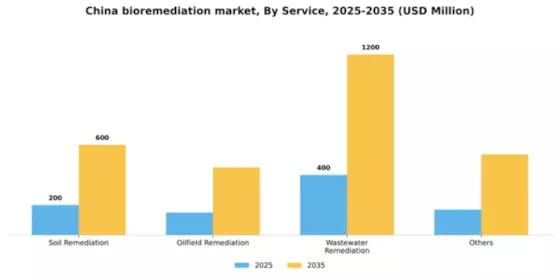 China Bioremediation Market Segment Image 0