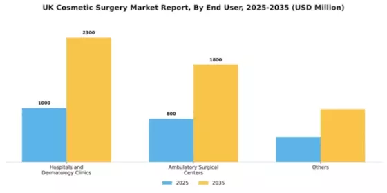 UK Cosmetic Surgery Market Segment Image 0