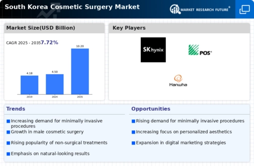 South Korea Cosmetic Surgery Market Infographic