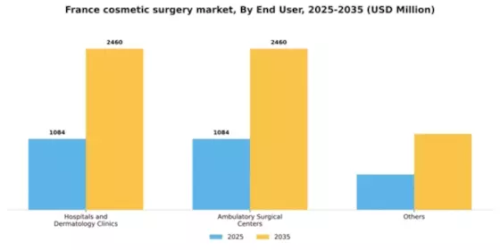France Cosmetic Surgery Market Segment Image 0