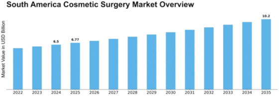 South America Cosmetic Surgery Market Size