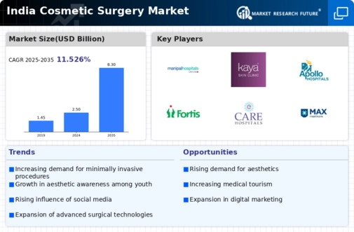 India Cosmetic Surgery Market Infographic