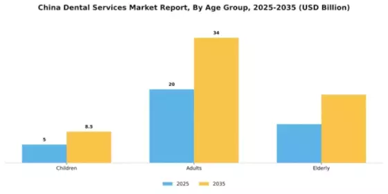 China Dental Services Market Segment Image 0