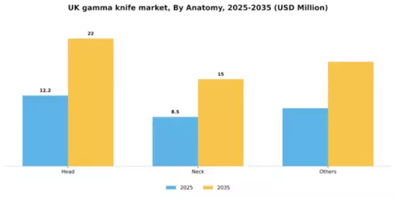 UK Gamma Knife Market Segment Image 0