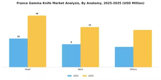 France Gamma Knife Market Segment Image 0
