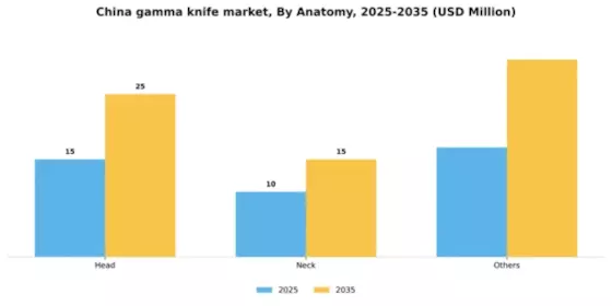 China Gamma Knife Market Segment Image 0