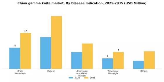 China Gamma Knife Market Segment Image 1