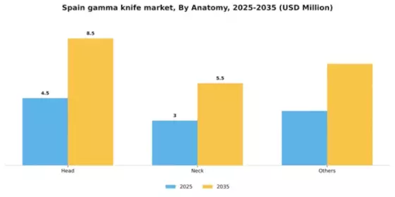 Spain Gamma Knife Market Segment Image 0