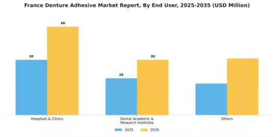 France Denture Adhesive Market Segment Image 1