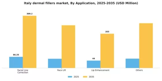 Italy Dermal Fillers Market Segment Image 0
