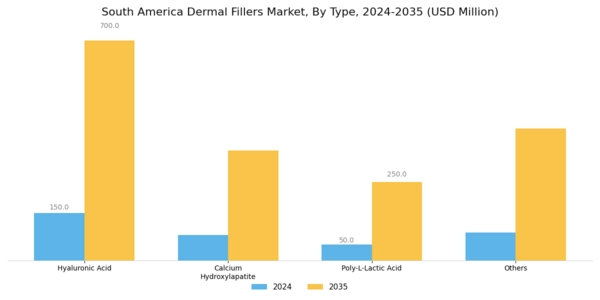 South America Dermal Fillers Market Segment Image 0