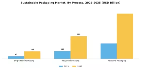 Sustainable Packaging Market Segment Image 1