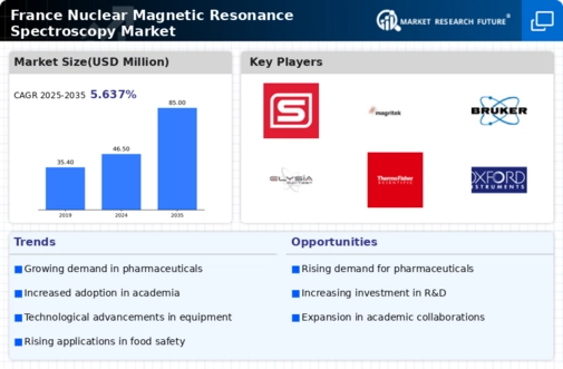 France Nuclear Magnetic Resonance Spectroscopy Market Infographic