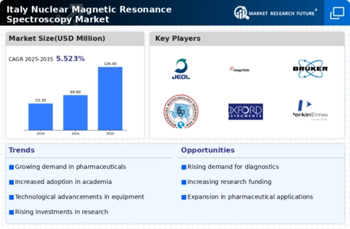 Italy Nuclear Magnetic Resonance Spectroscopy Market Infographic