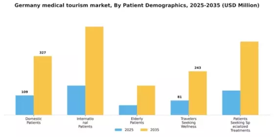 Germany Medical Tourism Market Segment Image 1