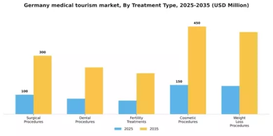 Germany Medical Tourism Market Segment Image 3