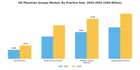 UK Physician Groups Market Segment Image 3