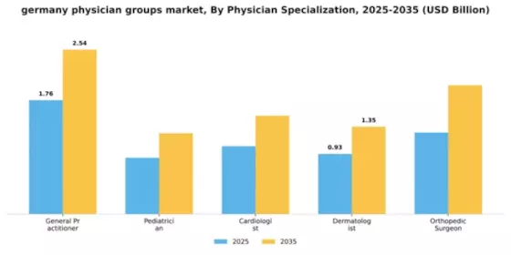 Germany Physician Groups Market Segment Image 1
