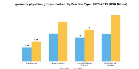 Germany Physician Groups Market Segment Image 2