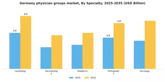 Germany Physician Groups Market Segment Image 4