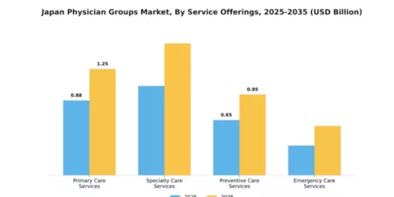 Japan Physician Groups Market Segment Image 3