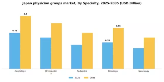 Japan Physician Groups Market Segment Image 4