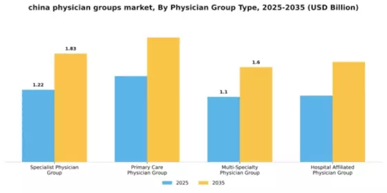 China Physician Groups Market Segment Image 1