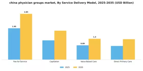China Physician Groups Market Segment Image 3