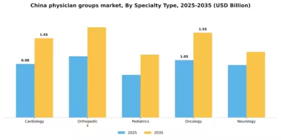 China Physician Groups Market Segment Image 4