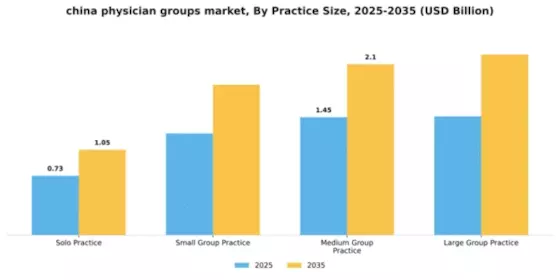 China Physician Groups Market Segment Image 2