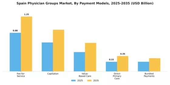 Spain Physician Groups Market Segment Image 1