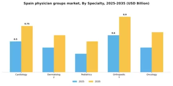 Spain Physician Groups Market Segment Image 4