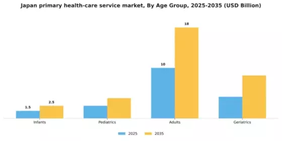 Japan Primary Health Care Service Market Segment Image 0