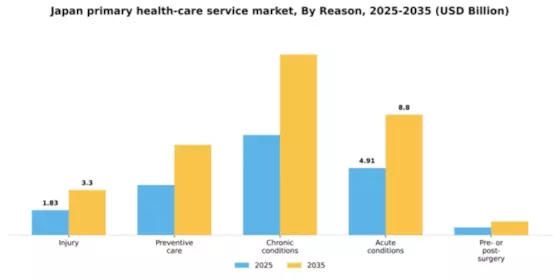 Japan Primary Health Care Service Market Segment Image 3