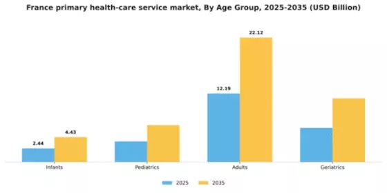 France Primary Health Care Service Market Segment Image 0