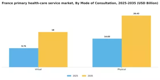 France Primary Health Care Service Market Segment Image 1