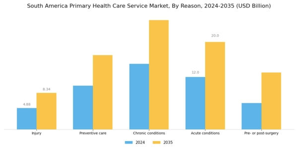 South America Primary Health Care Service Market Segment Image 0