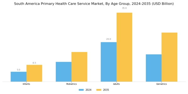 South America Primary Health Care Service Market Segment Image 1