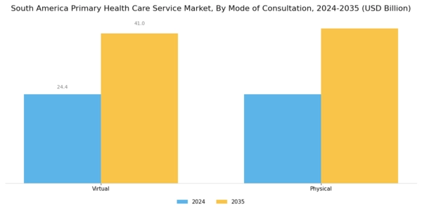 South America Primary Health Care Service Market Segment Image 2
