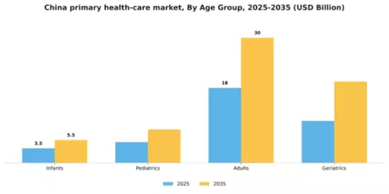 China Primary Health Care Service Market Segment Image 0