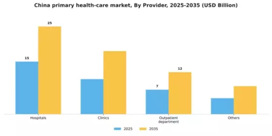 China Primary Health Care Service Market Segment Image 2