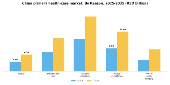 China Primary Health Care Service Market Segment Image 3