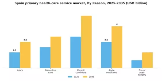 Spain Primary Health Care Service Market Segment Image 3
