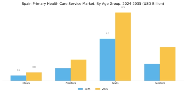 Spain Primary Health Care Service Market Segment Image 1